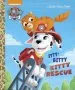 PDF The Itty-Bitty Kitty Rescue by Golden Books