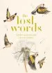 PDF The Lost Words by Robert Macfarlane