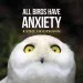 PDF All Birds Have Anxiety by Kathy Hoopmann