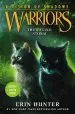 PDF Warriors: A Vision of Shadows #6: The Raging Storm by Erin Hunter