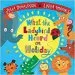 PDF What the Ladybird Heard on Holiday by Julia Donaldson