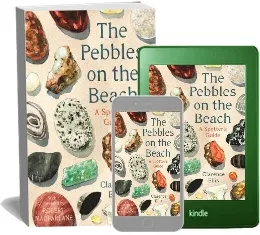 The Pebbles on the Beach download free [PDF and Ebook] by Clarence Ellis year 2019
